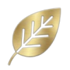 Çevre Yönetim (ISO 14001:2015)